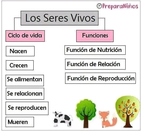 Los seres vivos.