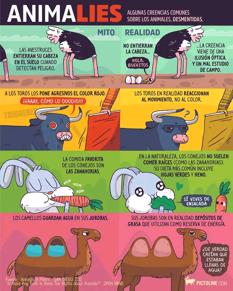 Curiosidades de animales.