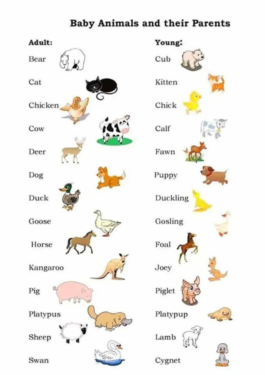 Animales en inglés.&nbsp;Infografía.