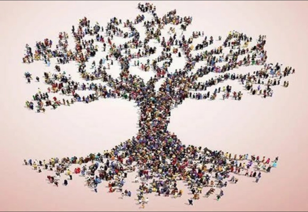 La teoría del implexo: el gran árbol genealógico de la&nbsp;humanidad.