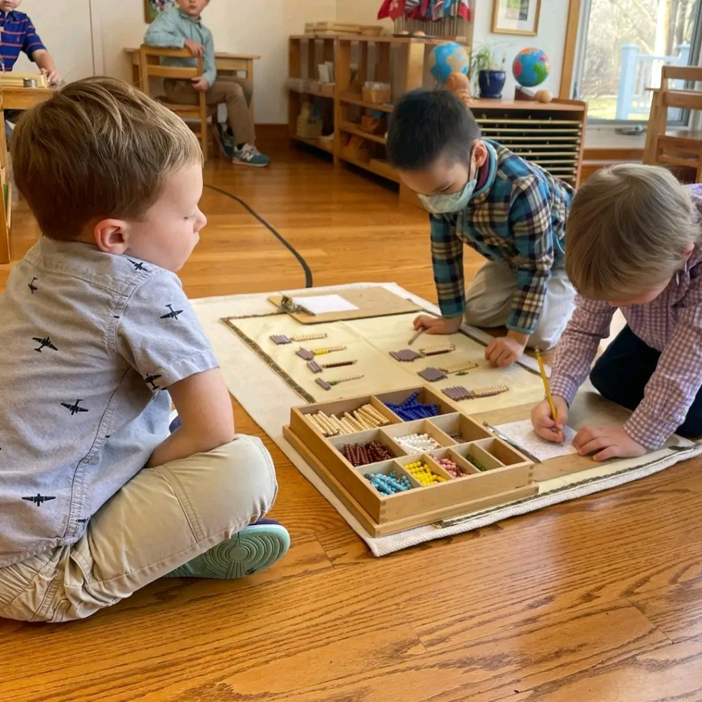 Sobre la observación. Educación&nbsp;Montessori.