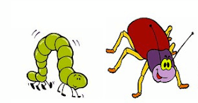 EL GUSANO Y EL&nbsp;ESCARABAJO.