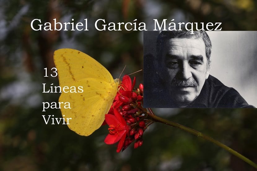 Las 13 Lineas para&nbsp;vivir…