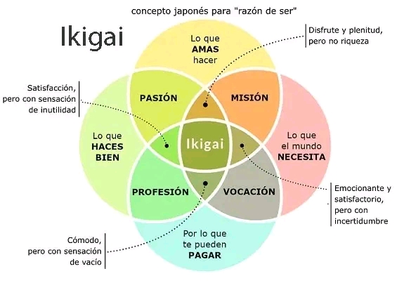 IKIGAI (生 き 甲&nbsp;斐)