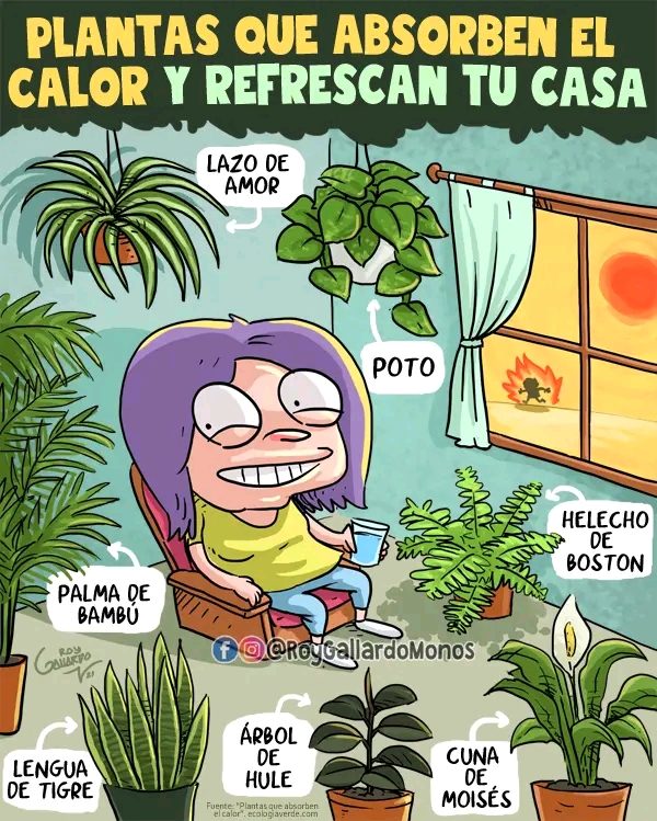 Plantas que absorben el calor y refrescan tu casa  por Roy Gallardo monos&nbsp;(Infografía)
