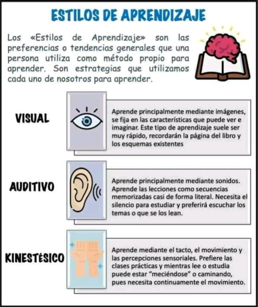 ESTILOS DE APRENDIZAJE&nbsp;(Infografía)