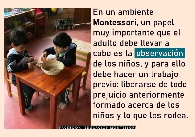 «La observación».