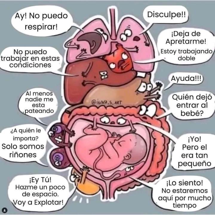 Así se desplazan los órganos de la madre en el embarazo para dejar lugar al&nbsp;bebé.