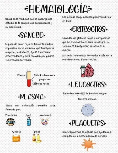 HEMATOLOGÍA.