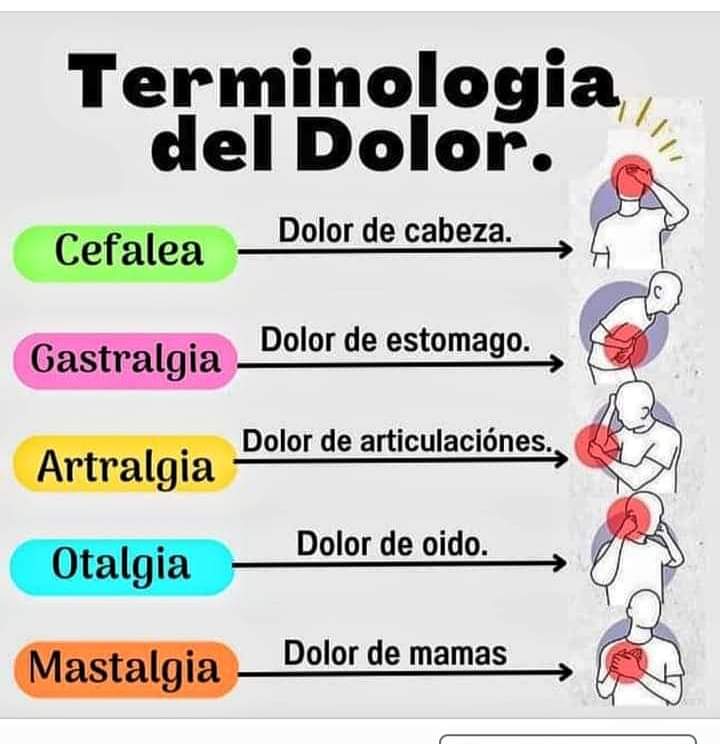 Terminología del dolor.