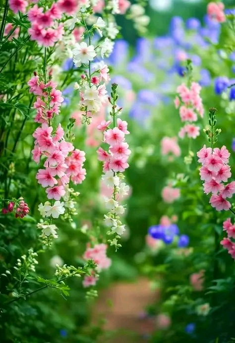 “Never force anything. Just let it be. If it’s meant to be, it will be.”